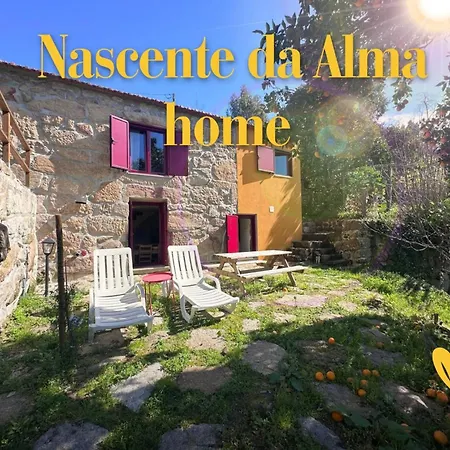 Nascente Place In Nature Next To A Waterfall Nyaraló Sande