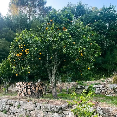 Nascente Place In Nature Next To A Waterfall בית נופש *