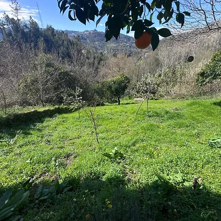 Ferienhaus Nascente Place In Nature Next To A Waterfall *