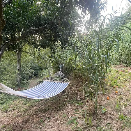 Nascente Place In Nature Next To A Waterfall