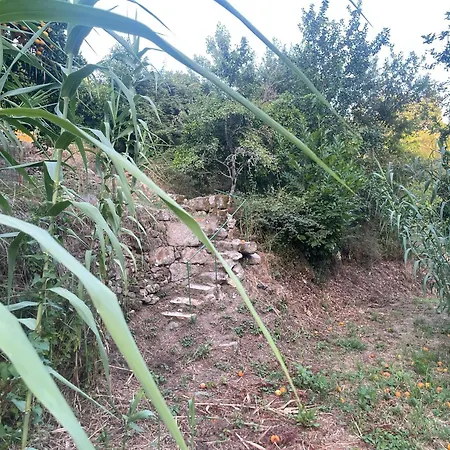Nascente Place In Nature Next To A Waterfall * Sande