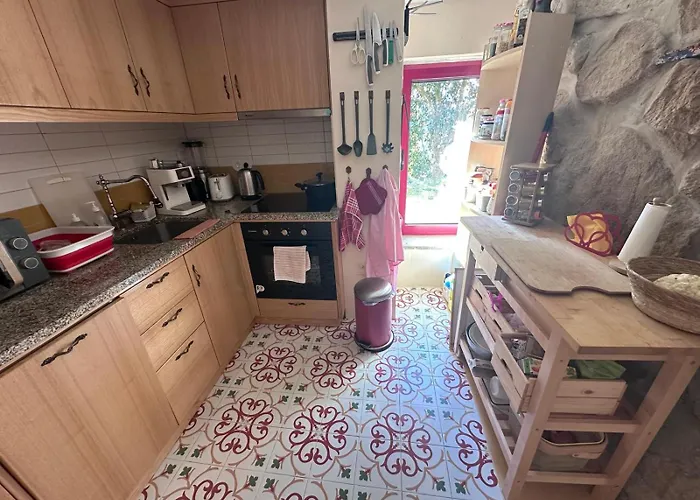 Nascente Place In Nature Next To A Waterfall