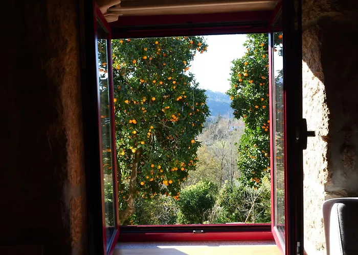 Nascente Place In Nature Next To A Waterfall Dom wakacyjny *